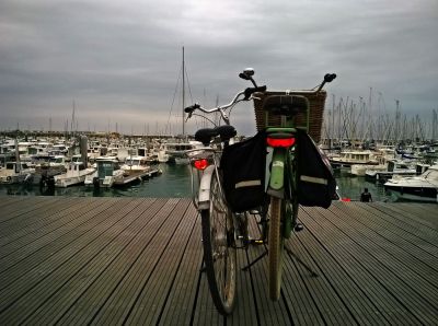 Mako
Bons baisers de l ile d OlÃ©ron 
