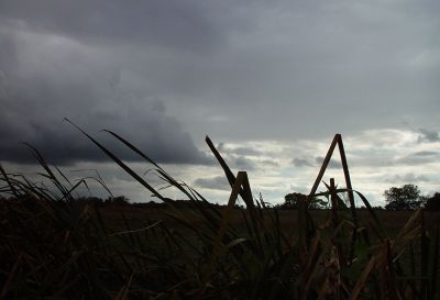 Mako
Il y a de l'orage dans l'air 
