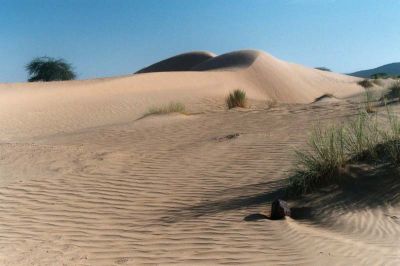 joel P
Mauritanie, Eole joue Ã  .... Eros...
