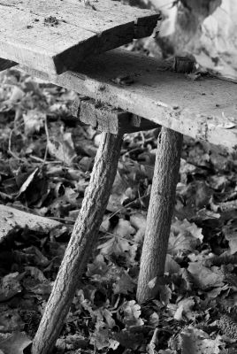 joel pierre: le banc de la cabane
Longtemps ils s'y assirent, souvent ils le rÃ©parÃ¨rent.....
