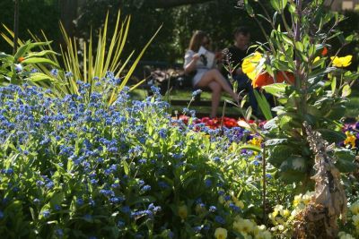 joel pierre
lire........... C'est le printemps au jardin des plantes!!!!
