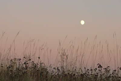 joel P
Un soir oÃ¹ la lune est venue me parler ..... vos commentaires sur les 2 photos .? . 
