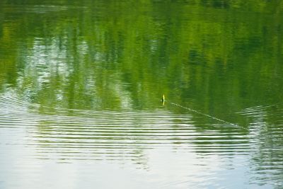 joelP
lac de bethmale
