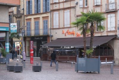 joel P
Vrai chien de FÃ©vrier dans Montauban,  Ã  la focale 100.......
