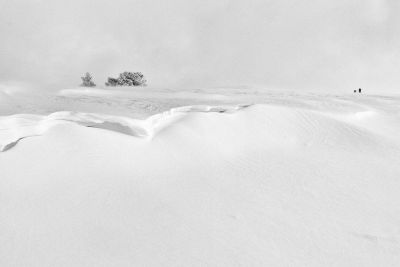 joelp
blanc comme la neige
