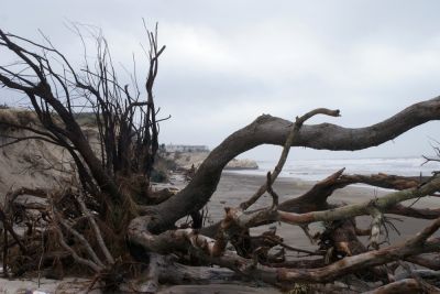 joel P
tempÃªte Soulac sur mer  fÃ©vrier 2014
