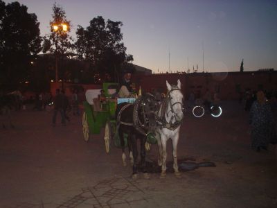 GeneviÃ¨ve A.
lumiÃ¨res de la ville et du vÃ©lo Ã  Marrakech
