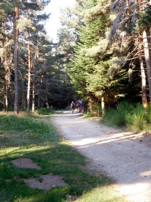 GeneviÃ¨ve
le chemin va Ãªtre long!!
