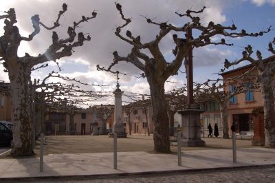 GeneviÃ¨ve
arbres tous nus
