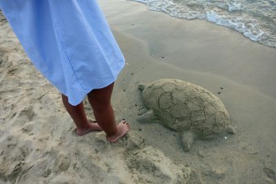 Plage 2 GÃ©rard Soubiran
