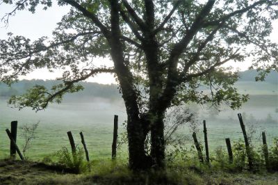 La CorrÃ¨ze au ... G. Soubiran
