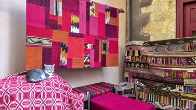 Pierre
Un chat pacha
