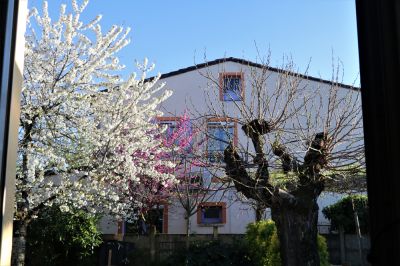 Le printemps de ma fenÃªtre
gilbert
