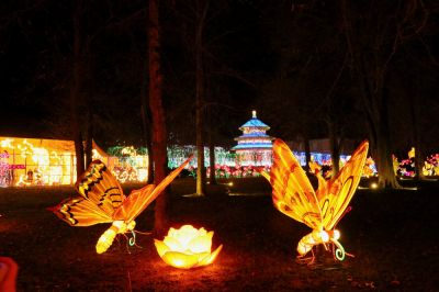 FÃªte des lumieres
gilbert
