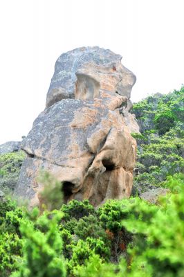 Gildas
Calanques Corse
