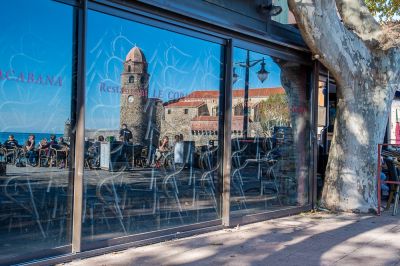 Collioure   Dominique
