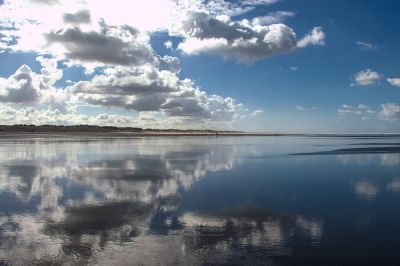 Oleron    Dominique
