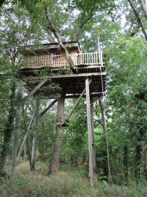 Betty
Cabane dans les arbres
