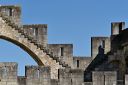 DSC00140-1_resultat.jpg