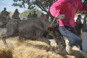 DSC01215_resultat.jpg