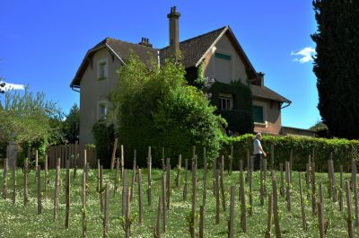 Cahors 3 - G. Soubiran
