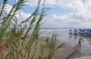 DSC_0401_28229_-_Copie.JPG