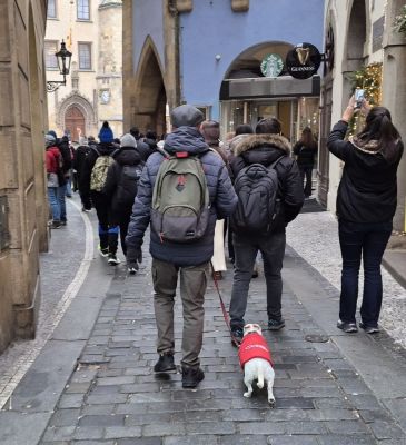 Tous avec son sac
gilbert
