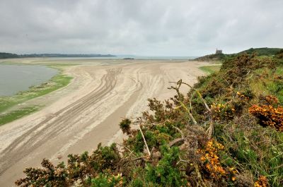 Gilbert P.
Empreintes laissées par la ramasseuse d'algues vertes en Baie de Saint Brieuc.
