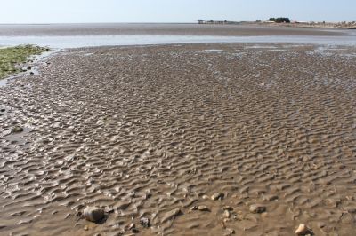 françoise
Mots-clés: françoise