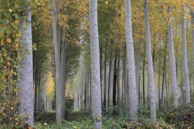 françoise
Mots-clés: Françoise oct 25